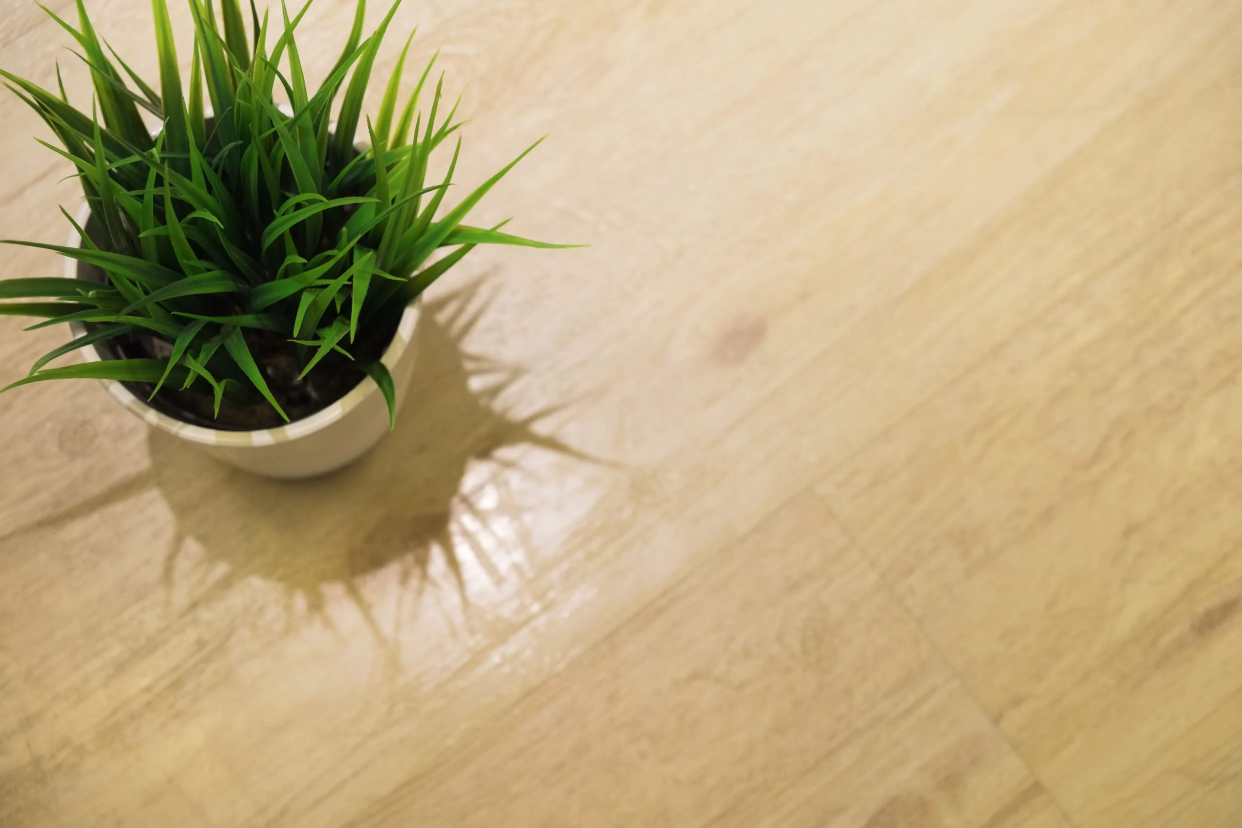 Eco-Friendly Flooring Options for Sustainable Homes